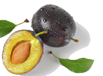 Essence Restaurant & Cafe v1